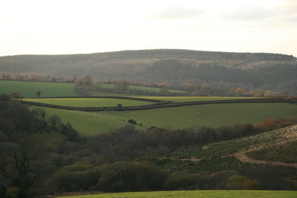 מלון Lydford House מראה חיצוני תמונה